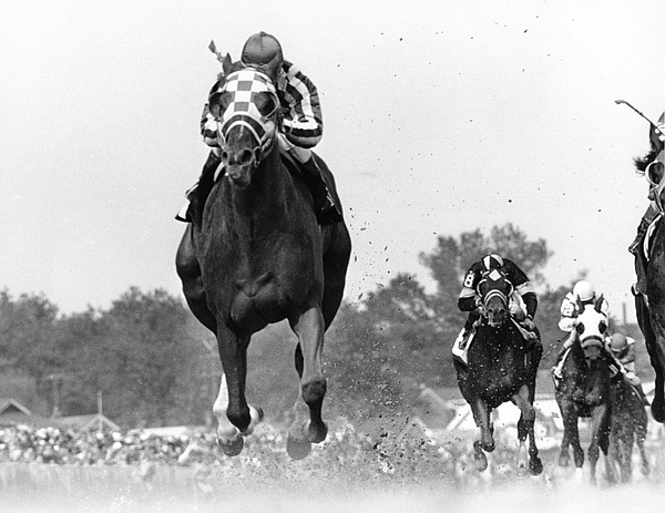 As Kentucky Derby hits 150, here are 10 unforgettable races | Chattanooga Times Free Press - Vimarsana News