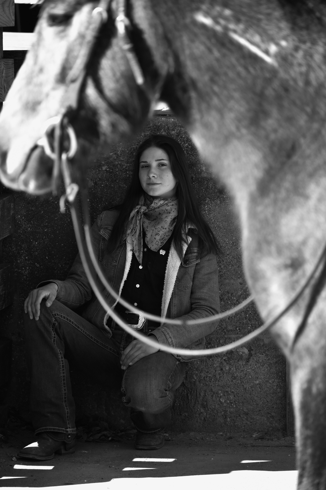 Kennedy: Adopted mustang is ready for competition | Chattanooga Times Free  Press