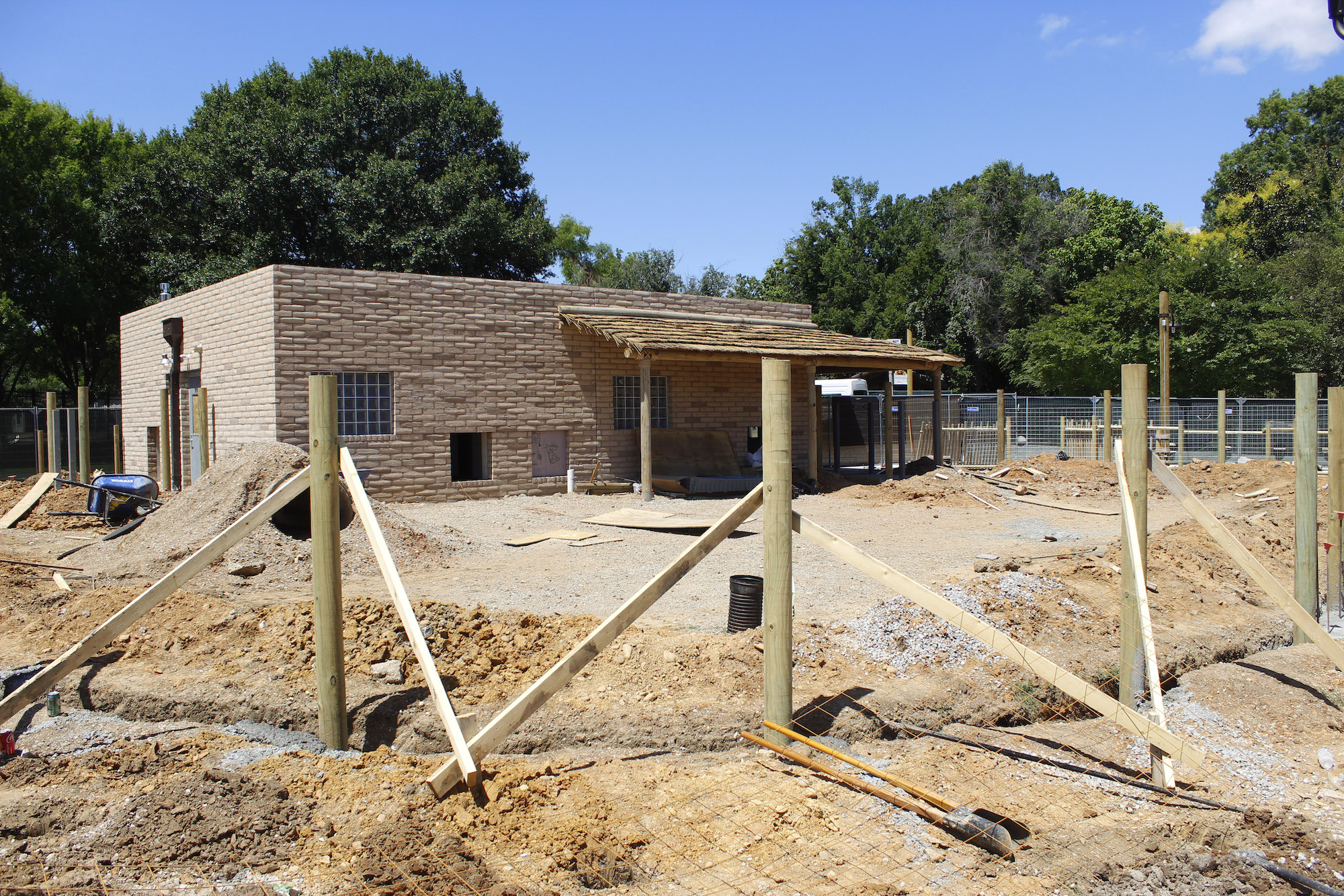 Contributed Photo / A new warthog enclosure and yard are visible Thursday at the Chattanooga Zoo. The city may provide $250,000 to help complete the zoo's new Cape of Africa exhibit.