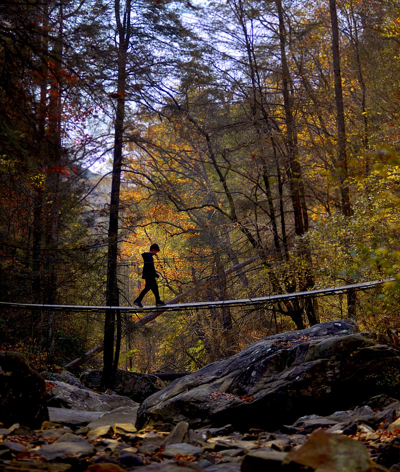What to know about fall in the Chattanooga area: Hikes, festivals 