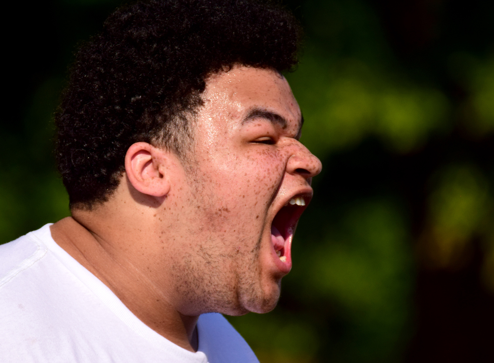 Staff Photo by Robin Rudd / Riker Dillard yells encouragement for the yellow team during a color wars team building exercise at the St. Elmo Recreation Center on Aug. 20, 2024. The BlueSky Institute at BlueCross BlueShield Tennessee is a 27-month tech workforce development program that allows students to obtain a degree, learning from university professionals, and get a job with the company upon graduation.