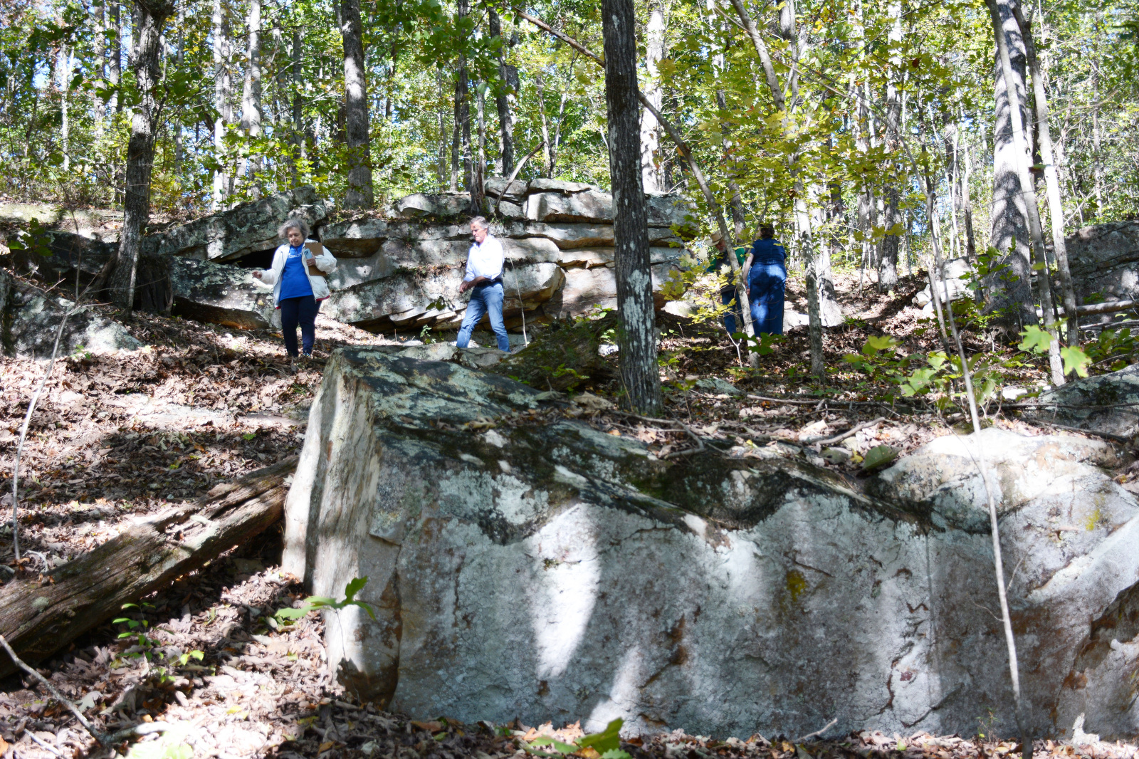Staff Photo by Robin Rudd / Boulders dot the trail atop Audubon Mountain, near Sale Creek, on Oct. 8, 2024. A land swap between the state of Tennessee and the Chattanooga Audubon Society will allow for portions of the Cumberland Trail to connect through an undeveloped portion of McDonald Farm.