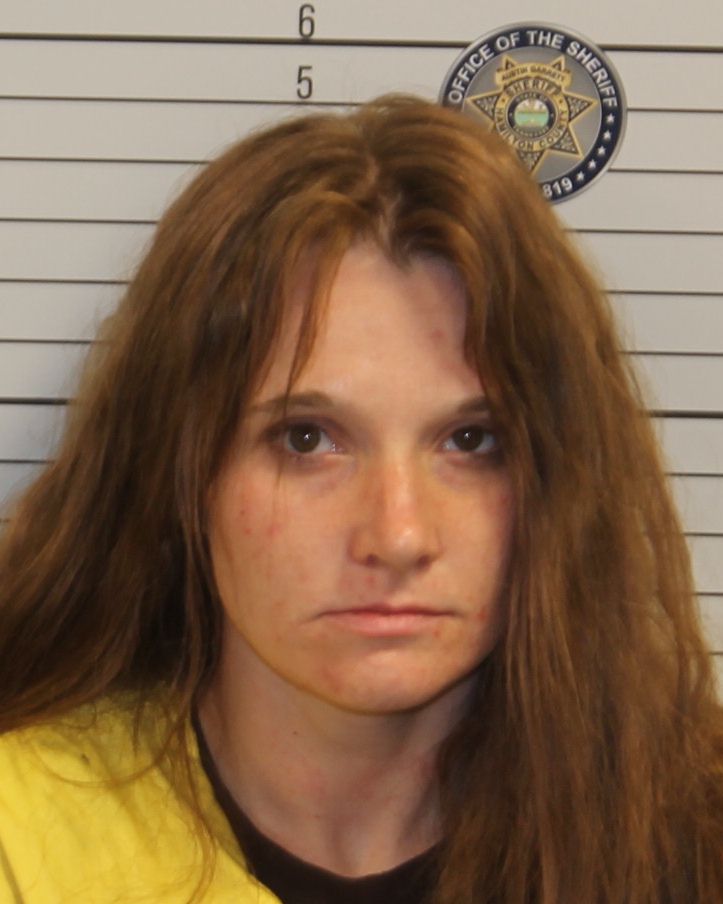 Chelsea Shell Two arrested after reported arson at Mowbray Pike home | Chattanooga ...