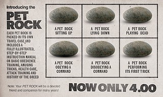 Matt Rocks Funny How a colossal joke sold America a bunch of rocks | Chattanooga Times ...