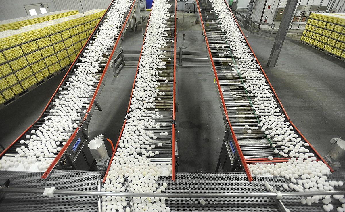 North Little Rock-based Conveyor Technology debuts AI analysis and monitoring for drum motors