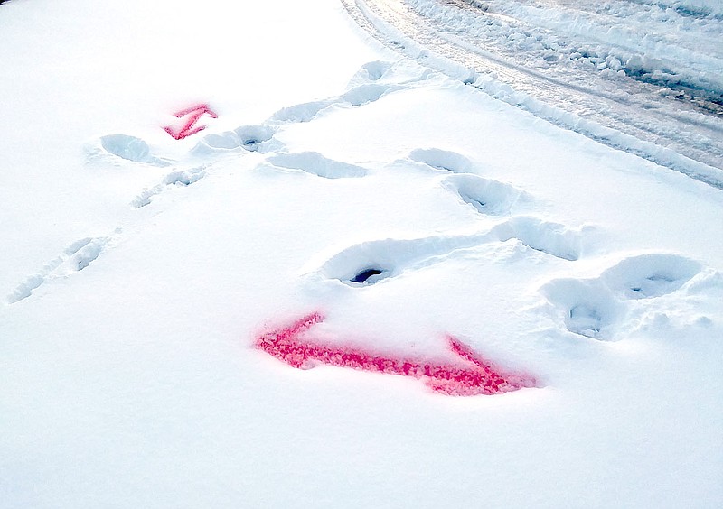 Mark Humphrey Special to the Eagle-Observer/Red markings serving as a location indicator for an on-going utility project in Farmington were placed after snowfall last week.