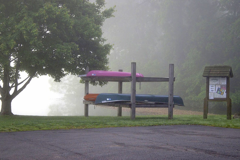 Nature in Bella Vista