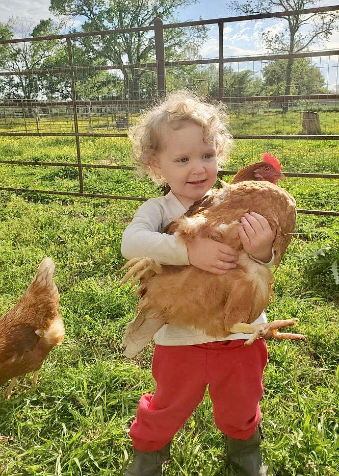 Submitted Photo/BETH PATTON
Little Izabella Jean Patton, two years old, hugs a big red hen on her family's farm at Maysville. Her father, Michael, and grandparents, Jack and Beth Patton, are regular farmers' market vendors. The smile on her face shows how much she loves being a farm girl.