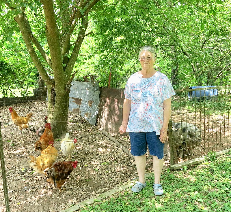Westside Eagle Observer/SUSAN HOLLAND
Faye Blair, of Gravette, shows a guest part of her flock of chickens on a recent sunny June afternoon. The large fruit trees in the pens provide welcome shade for the birds and the pot-bellied pig in the adjoining pen.