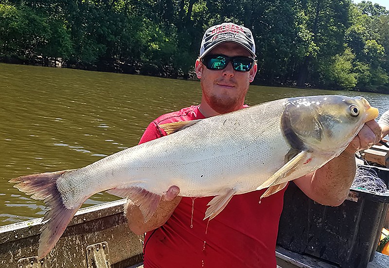 Cody Salzmann, UAPB graduate student of aquaculture and fisheries, catches a silver carp during an assessment on the White River. - Submitted photo