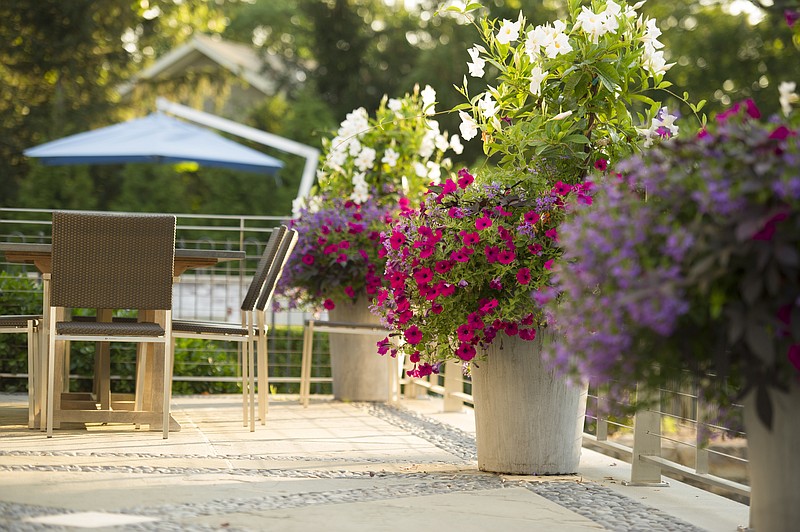 This photo provided by Janice Parker Landscape Architects shows potted flowering plants at a home in Darien, Conn., which are an easy addition to any outdoor space and can bring beautiful color and pleasant fragrances. (Neil Landino Jr./Janice Parker Landscape Architects via AP) story.lead_photo.caption