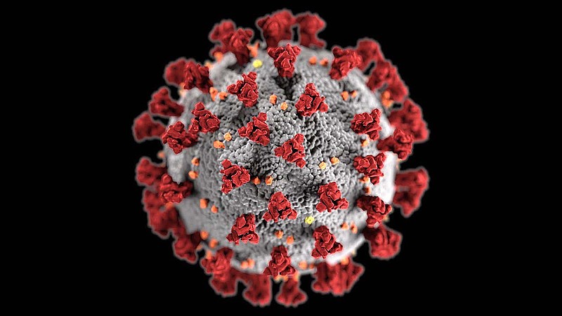 covid virus