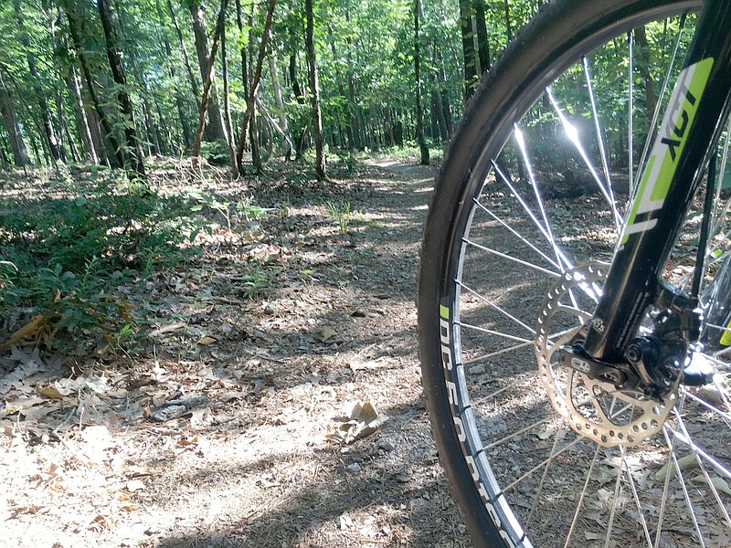 The Bashore Loop at Hobbs State Park-Conservation Area remains a fine destination for off-road biking, hiking or horseback riding. It is part of the park's Hidden Diversity Multiuse Trail.
(NWA Democrat-Gazette/Flip Putthoff)