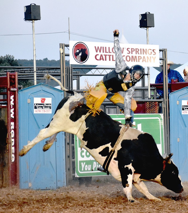 MARK HUMPHREY  ENTERPRISE-LEADER/Jake Gowdy, of Bristow, Okla., lasted 4.74 seconds on this bull before getting bucked off during a Professional Bull Riders Touring Pro Division "Buckin' At The Ranch" event held at the Ogden Ranch at Prairie Grove last weekend.
