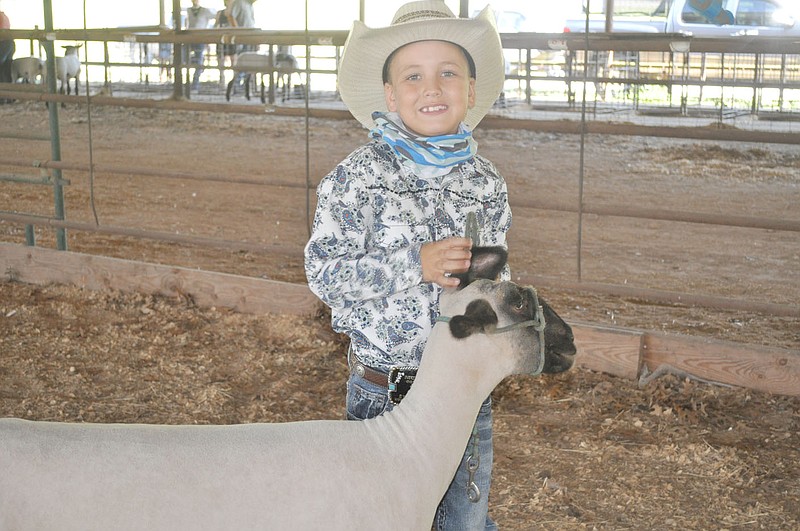 RACHEL DICKERSON/MCDONALD COUNTY PRESS Easton Sherman won Overall Ewe during the sheep show at the McDonald County Fair.