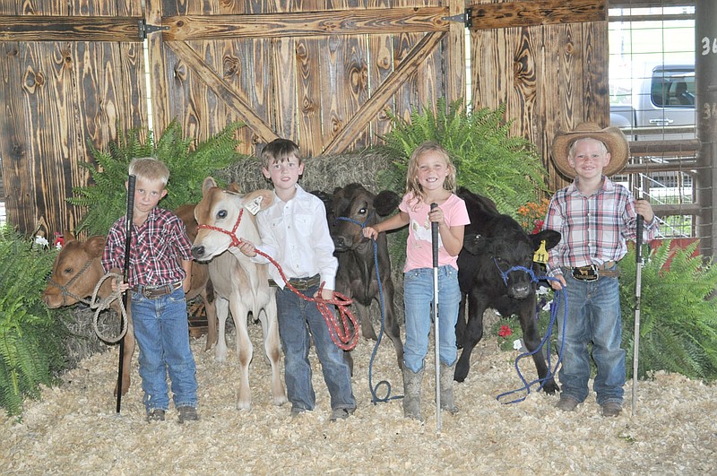 RACHEL DICKERSON/MCDONALD COUNTY PRESS The competitors in the 5- and 6-year-old division of the bucket calf show at the McDonald County Fair are pictured.