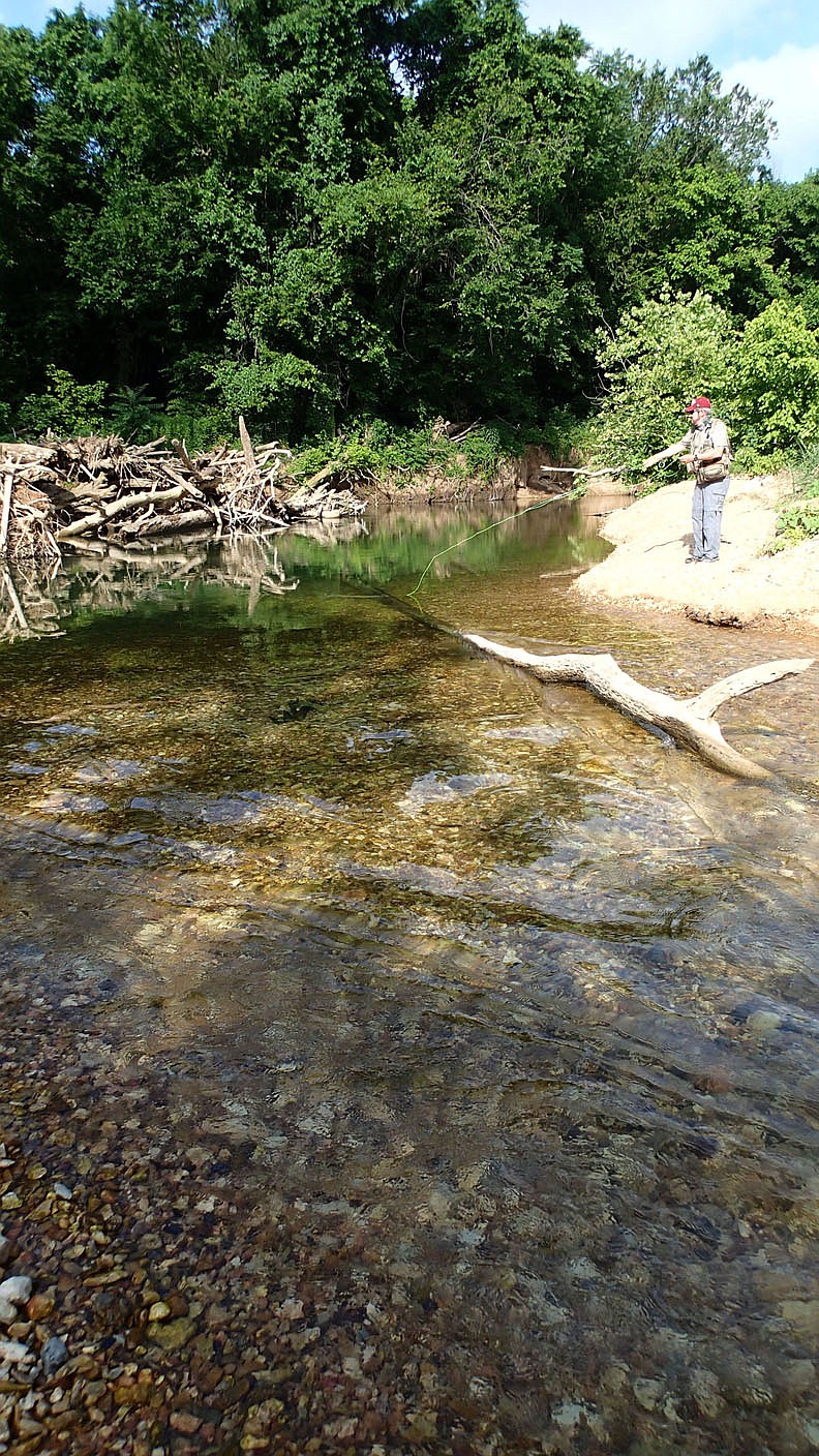 Tonkinson fly fishes near a log jam on Big Sugar Creek.
(NWA Democrat-Gazette/Flip Putthoff)