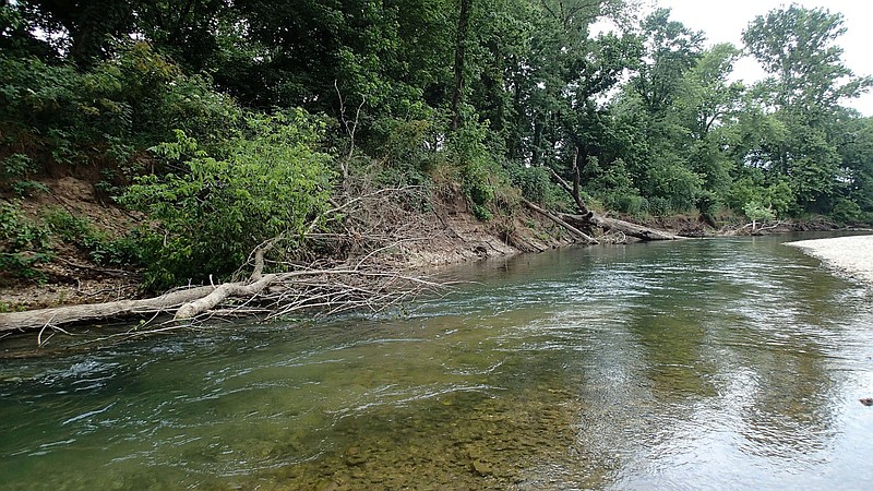 Big Sugar Creek flows clear and cool east of  Pineville, Mo., in McDonald County. A rocky bottom, boulders and wood cover create prime habitat for smallmouth bass and other game fish. 
(NWA Democrat-Gazette/Flip Putthoff)