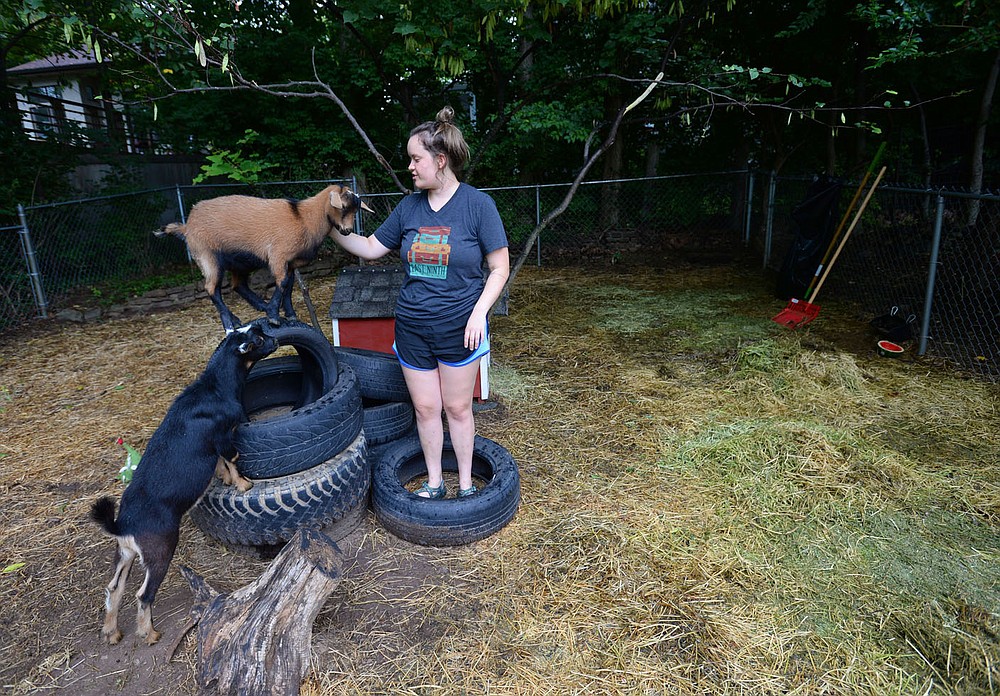 Abbey Allen plays with her goats, Professor (left), and Dilly, Friday, July 31, 2020, at her home on Olive Avenue in Fayetteville. A newly adopted ordinance allows for goats in the city limits on less land than earlier requirements. Visit nwaonline.com/200803Daily/ for today's photo gallery.
(NWA Democrat-Gazette/Andy Shupe)