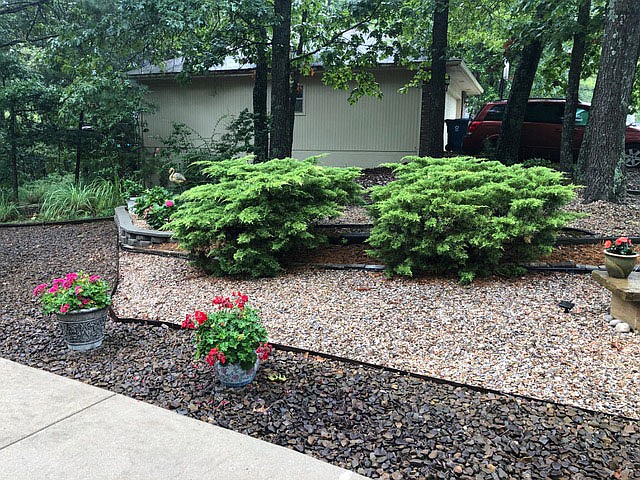 Photo submitted
Well maintained and beautiful are two considerations in honoring Bella Vista residents with Yard of the Month distinctions. Jay and Francine Lacy of 6 Guilford Drive take home the award for August.