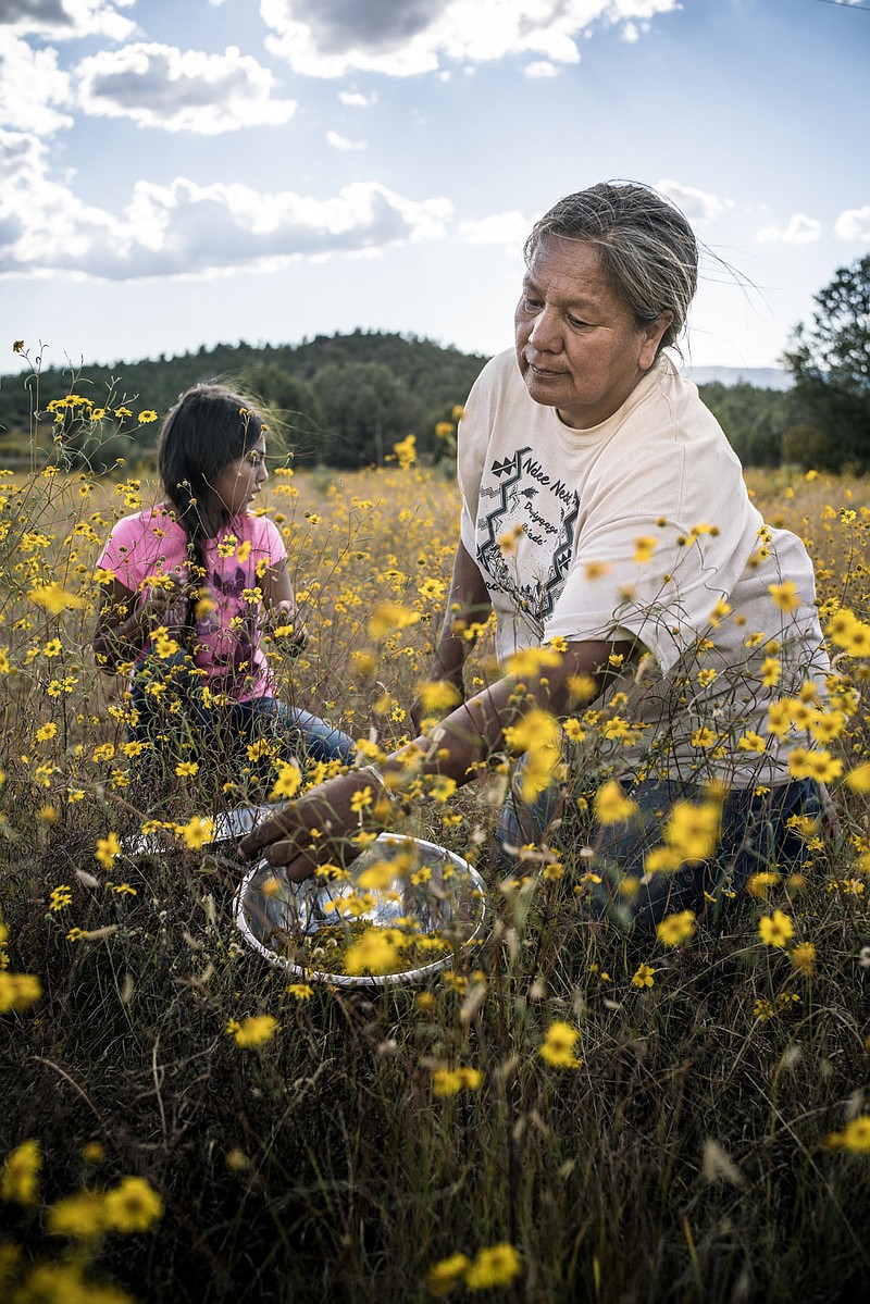 A still from the documentary "Gather," which will be part of a pre-festival screening for this year's Hot Springs Documentary Film Festival. Photo is courtesy of Renan Ozturk. - Submitted photo