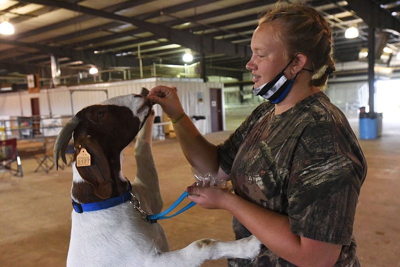 COUNTY FAIR TREATS
Kimberly Caswell of Gentry gives on of her goats a treat on Tuesday Aug. 4 2020  at the Benton County Fair. Dairy cattle judging takes place today. The fair runs through Friday, but only entrants and their families are allowed at the fair this year, said Susan Koehler, fair manager. Go to nwaonline.com/200805Daily/ to see more photos.
(NWA Democrat-Gazette/Flip Putthoff)