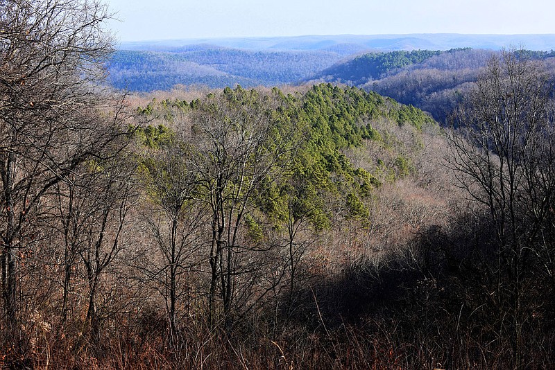 A view of the Mark Twain National Forest unfolds in this wintertime scene from Sugar Camp Scenic Drive.
(NWA Democrat-Gazette/Flip Putthoff)