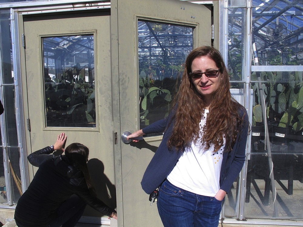 FILE - In this Feb. 10, 2020 file photo, Beth Leger, a plant ecologist at the University of Nevada, Reno, opens the door to a campus greenhouse where she and graduate assistant Jamey McClinton, left, are growing Tiehm's buckwheat in Reno, Nevada. Leger, a botanist hired by a company planning to mine one of the most promising deposits of lithium in the world, believes a rare desert wildflower at the Nevada site should be protected under the Endangered Species Act, a move that could jeopardize the project, new documents show. (AP Photo/Scott Sonner, File)