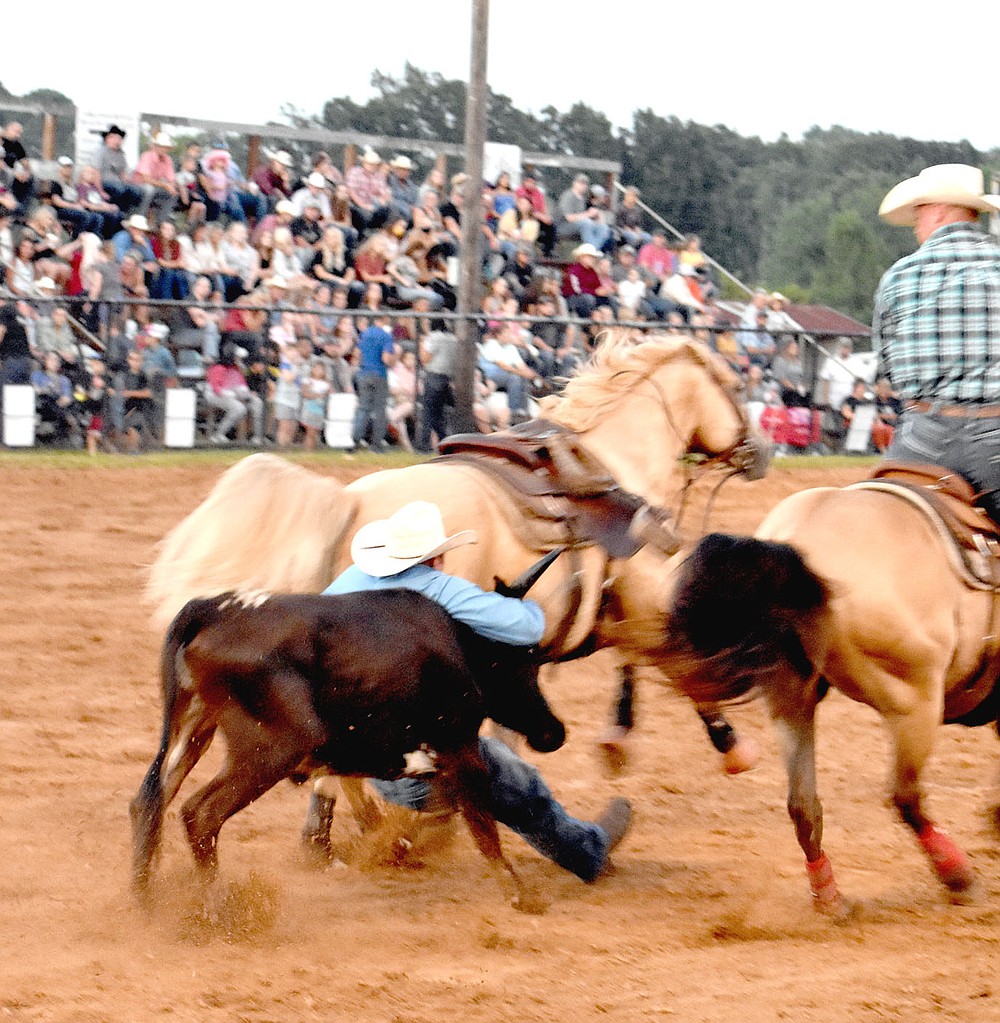 Rodeo Activities Showcase Lincoln Community