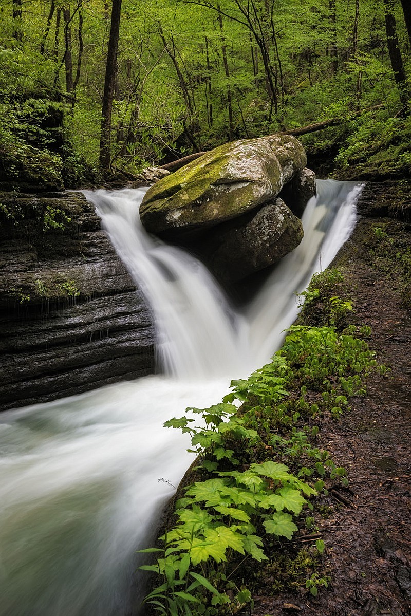 “What started out as hiking therapy for anxiety, quickly turned into a passion that others appreciated as well,” photographer Brennan Duffield says of sharing her work with the world. “Photography also helps alleviate any OCD tendencies I have, which is very evident in the symmetry presented in my work. My hope is that others can also feel a sense of ease when viewing my photos, just as I did creating them.”

(Image courtesy of the artist)