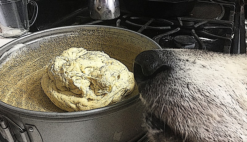 Aki smells the dough. Yeast dough is dangerous for dogs.
(Democrat-Gazette photo illustration/Kelly Brant and Celia Storey)