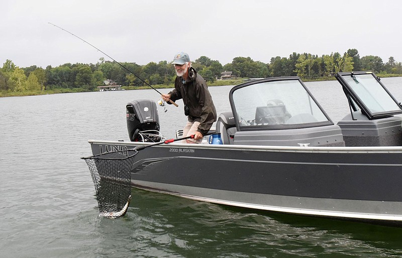 Bruce Darr nets a walleye, one of 10 species of fish three anglers caught at Beaver Lake while using one type of lure. A rainy day July 31 2020 had the fish in a mood to bite. 
(NWA Democrat-Gazette/Flip Putthoff)