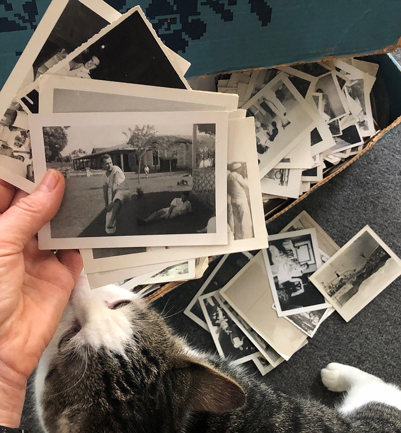 Spread across a few days or weeks, organizing photos can be a satisfying experience that saves family history from the garbage bag of time. (Arkansas Democrat-Gazette/Celia Storey) story.lead_photo.caption
