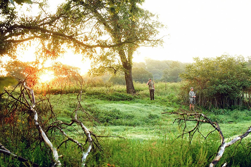 Hunters bask in a sunrise glow in Benton County on opening day of dove season in 2018. Dove hunting season opens on Saturday statewide in Arkansas.
(NWA Democrat-Gazette/Flip Putthoff)