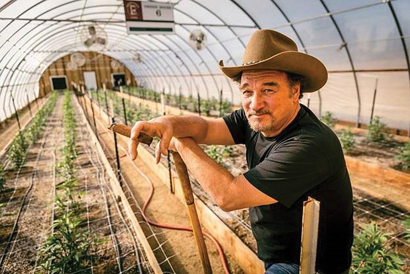 Jim Belushi showcases his Oregon cannabis farm and products on his new TV show, ÏGrowing Belushi,Ó which is slated to premiere in August 2020. (Discovery Channel/TNS)