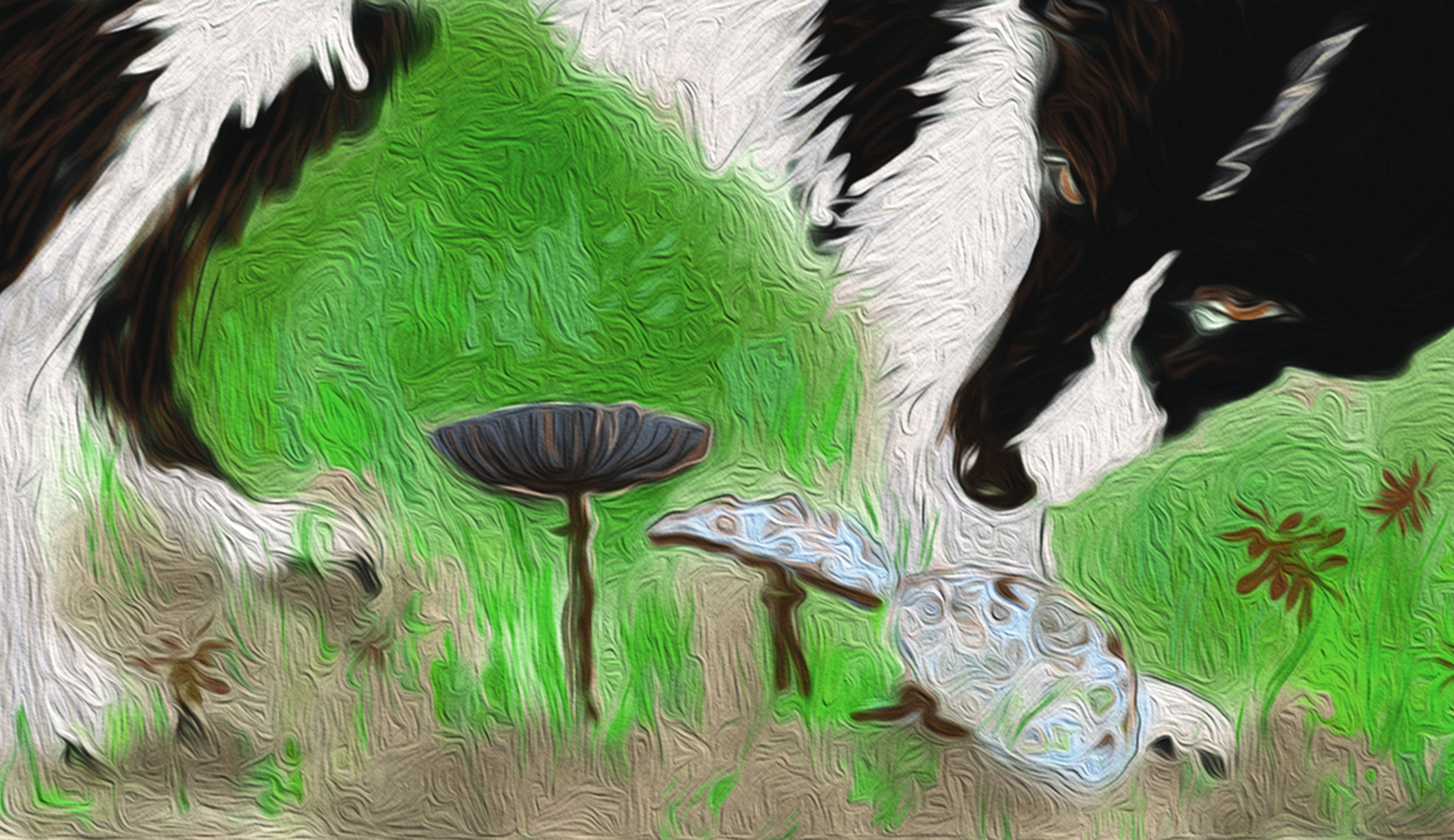 what happens if a dog eats a mushroom