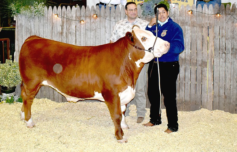 MARK HUMPHREY ENTERPRISE-LEADER

Jaimie Garcia, of Lincoln FFA, established a Washington County Fair record, according to auctioneer Rusty Collins, with his market steer selling for $8,000 during the 2020 fair livestock auction Aug. 27. Justin Crawley was the winning bidder who purchased the steer.