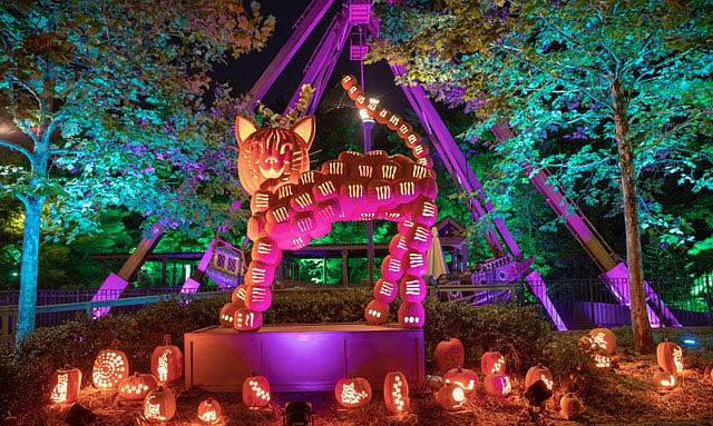 Silver Dollar City Pumkin Nights.As the sun sets, thousands of hand-carved pumpkins start glowing and Pumpkin Plaza heats up with a dance party that features pumpkin pals and glow-in-the-dark fun.
