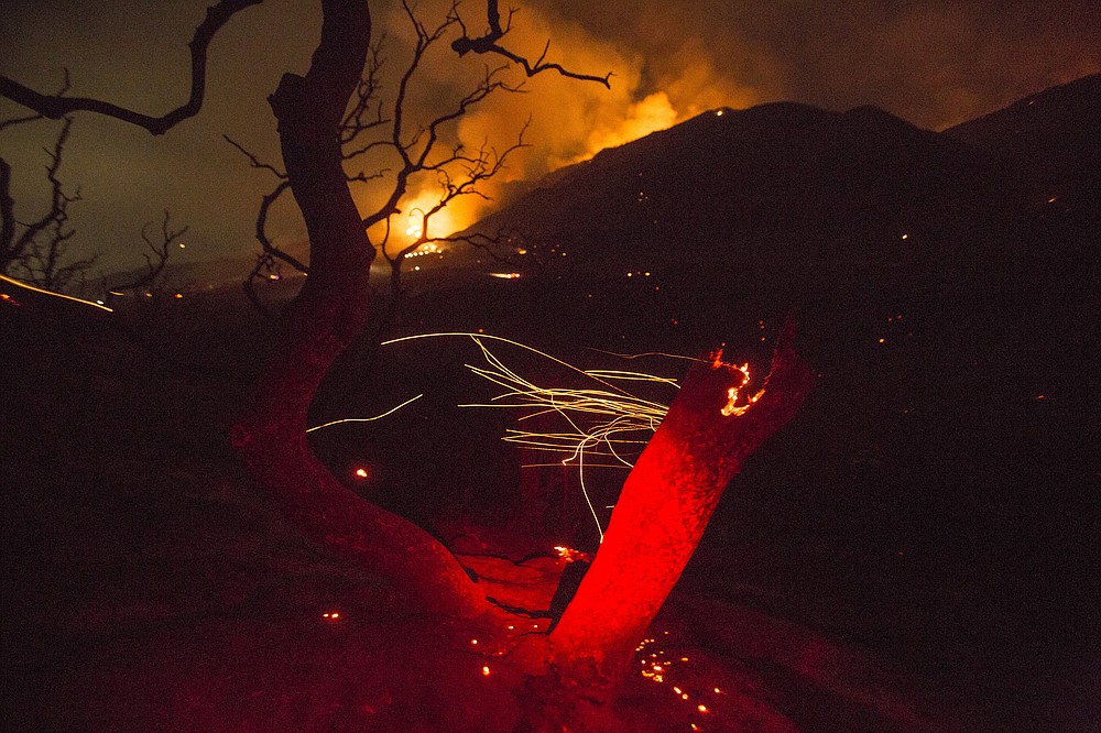 The wind whips embers from a tree burned by a wildfire Yucaipa, Calif., Saturday, Sept. 5, 2020. Three fast-spreading California wildfires sent people fleeing Saturday, with one trapping campers at a reservoir in the Sierra National Forest, as a brutal heat wave pushed temperatures into triple digits in many parts of state. (AP Photo/Ringo H.W. Chiu)
