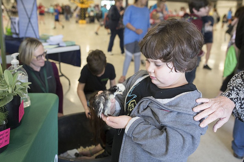 NWA Democrat-Gazette/CHARLIE KAIJO Alyssa Trujillo, 7, of Gentry plays with a baby bird during the Autism Involves Me annual walk, Saturday, May 4, 2019 at the Benton County Fairgrounds in Bentonville. 

Autism Involves Me, a Bentonville non-profit, held its annual walk to highlight the lack of services for kids with autism.