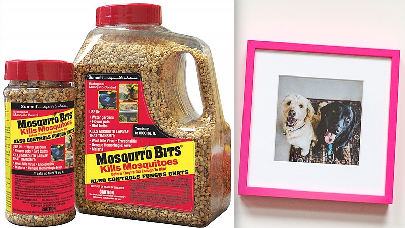 Mosquito Bits and Frame it Easy