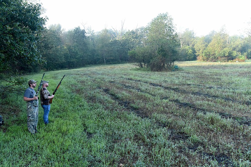 Hunters dove season at public fields Northwest Arkansas