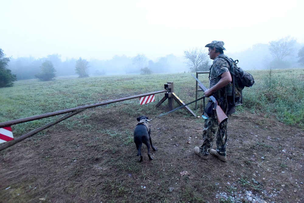 A hunter and his retriever enter one of the Arkansas Game and Fish Commission public dove hunting fields on opening morning Sept. 5 2020 east of Siloam Springs.
(NWA Democrat-Gazette/Flip Putthoff)
