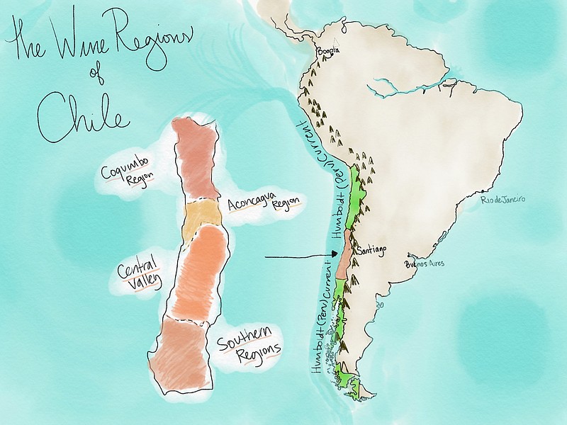 Chile's unique geography — with the Humboldt Current to the west and the Andes to the east — make it ideal for growing grapes. (Illustration by Kelly Brant)