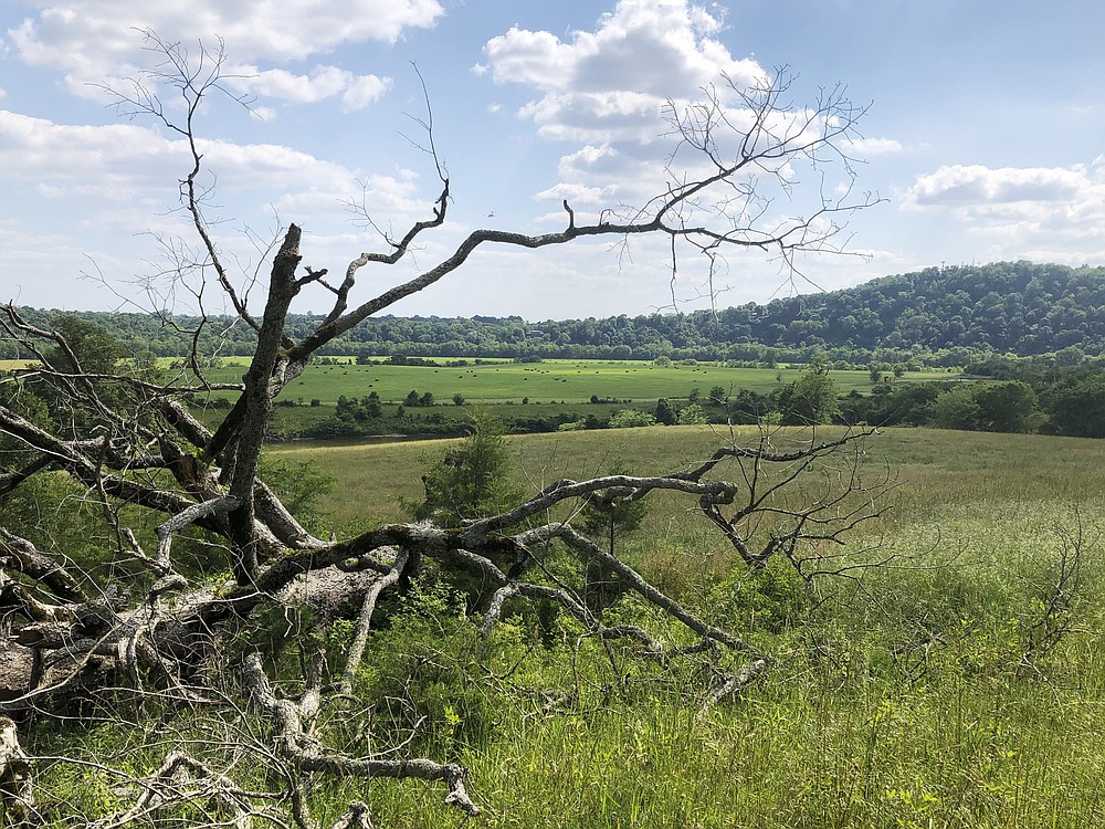 Push On To Save South's Native Grasslands