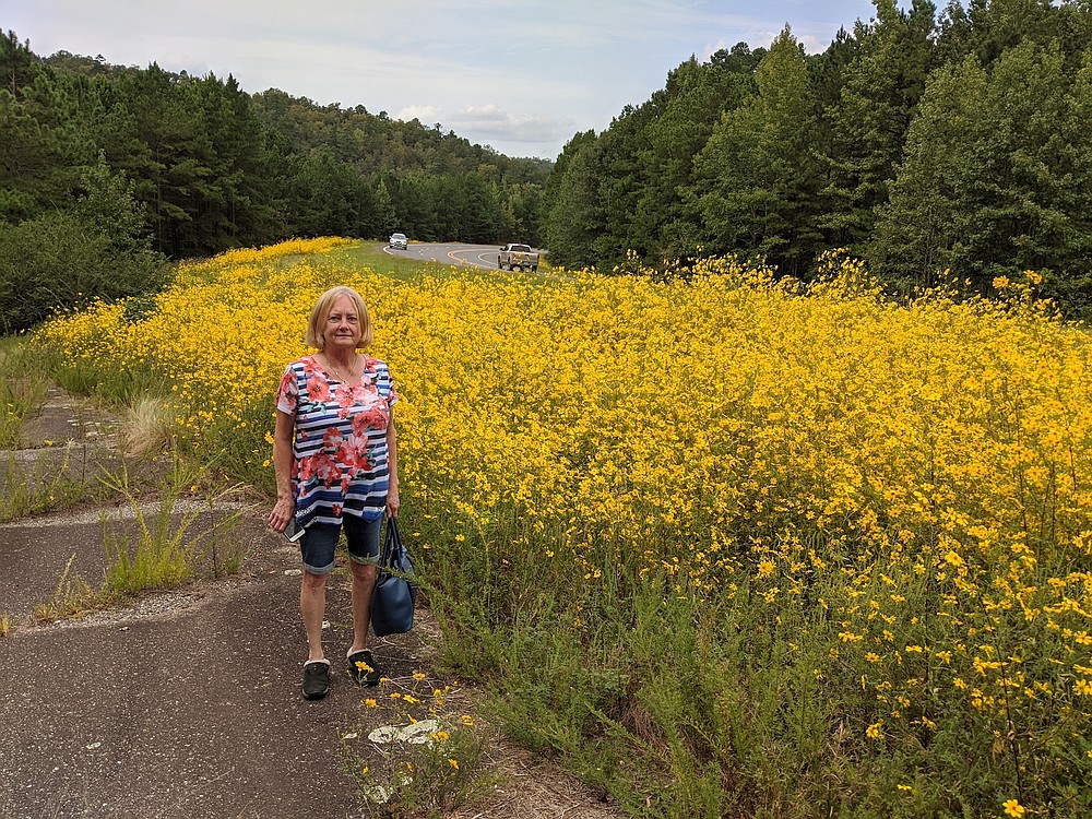 An unidentified reader poses with an impressive stand of Bidens aristosa on an Arkansas roadside.
(Special to the Democrat-Gazette)