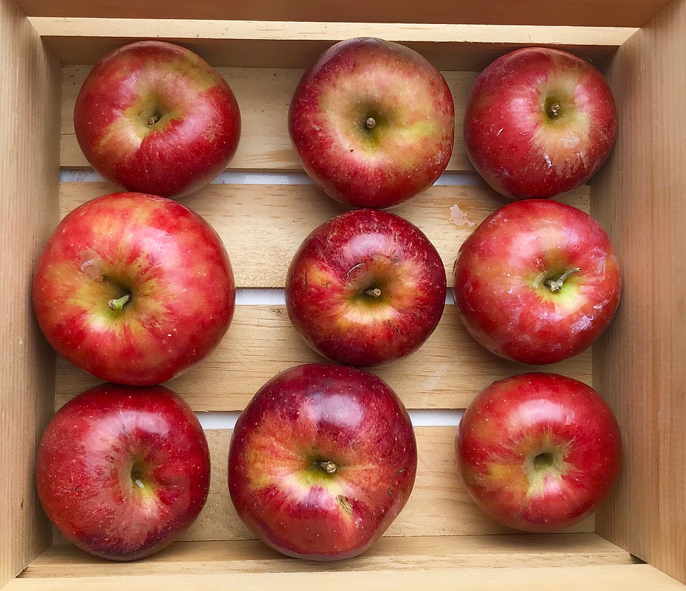 Arkansas-grown Jonathan apples (Arkansas Democrat-Gazette/Kelly Brant)