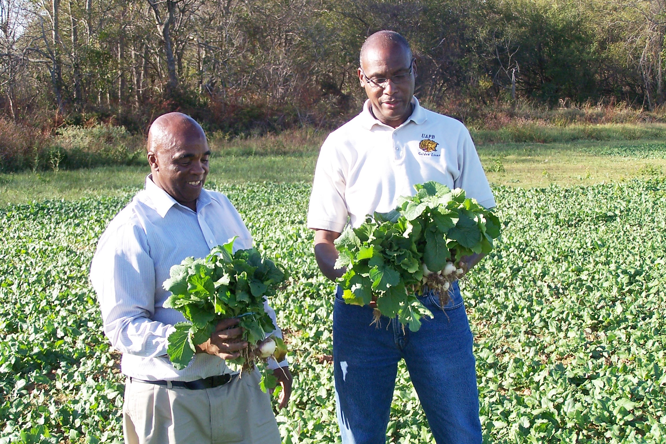 Web event looks at ’20 agricultural law changes