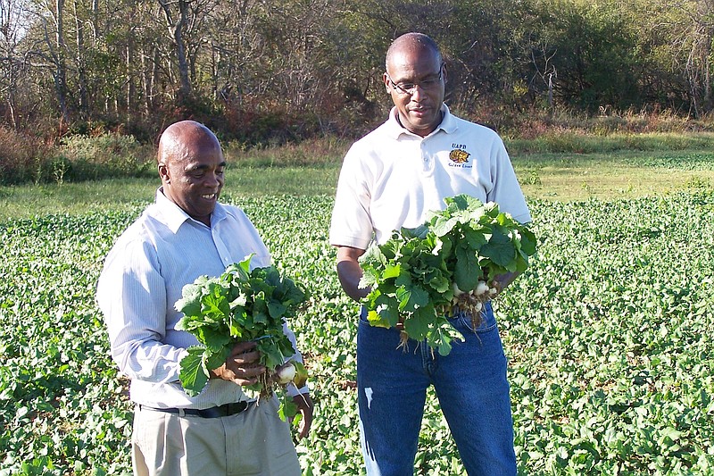 Earl Lee Armstrong, left, discusses turnip greens with Henry English, director of the Small Farm Program at UAPB. Special to The Commercial/University of Arkansas System Division of Agriculture