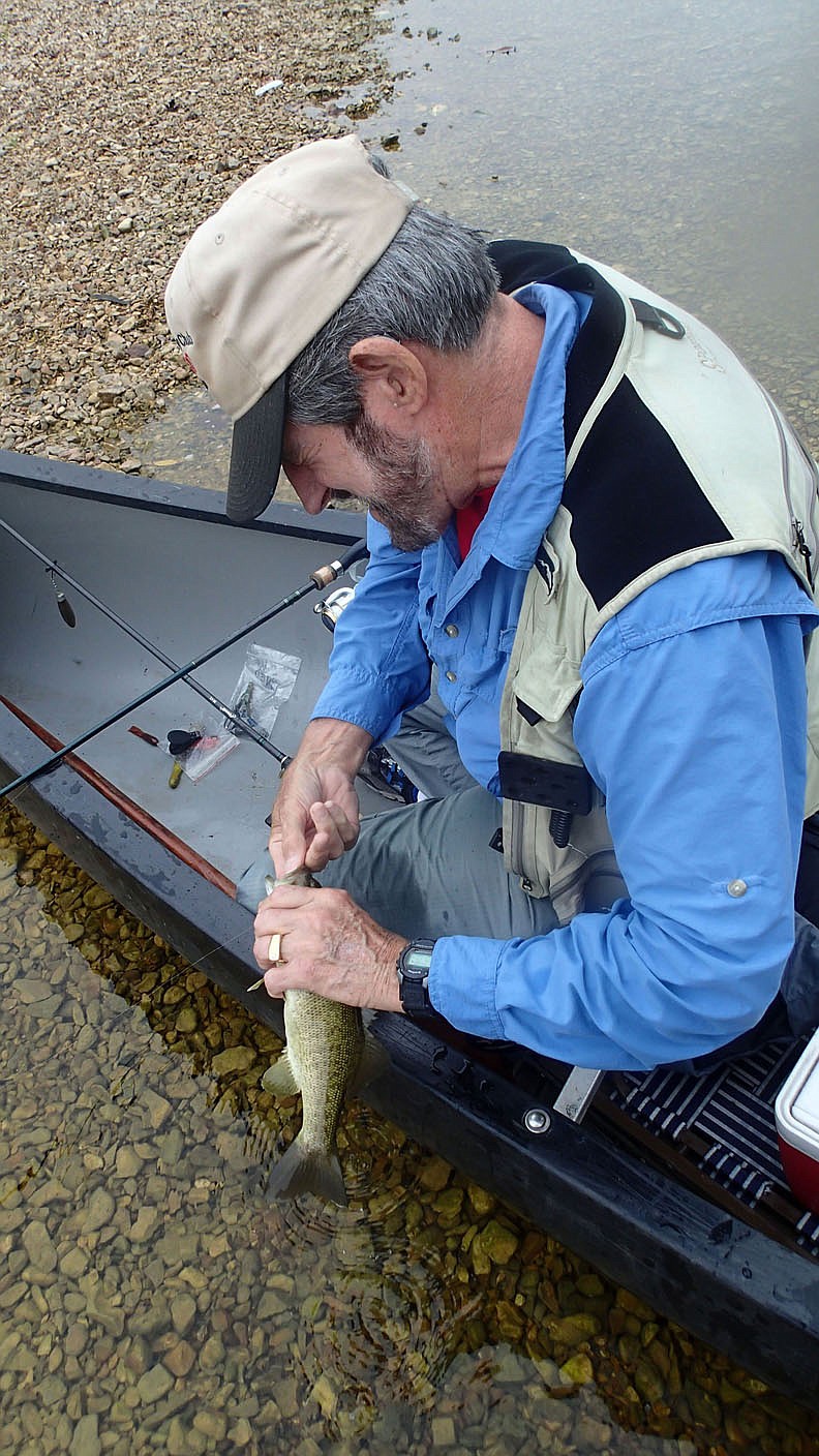 Tonkinson releases Sept. 11 2020 an Elk River smallmouth bass.
(NWA Democrat-Gazette/Flip Putthoff)